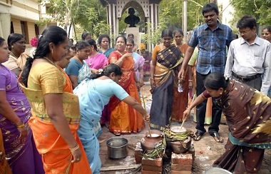 Thai Pongal