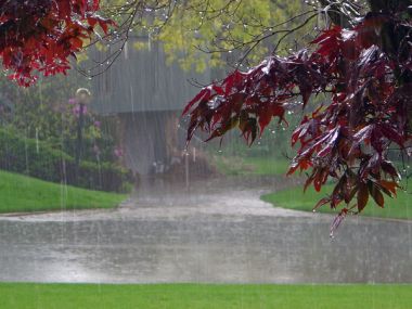 rain falling background