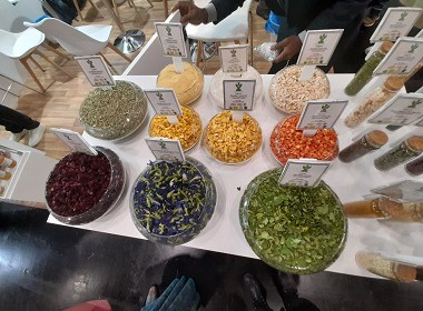 Biofach2023 2