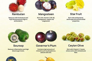 Fruit
